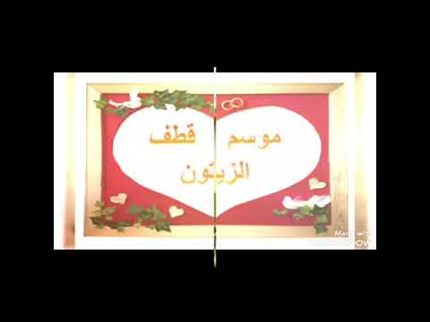 عاليادي روضة أصدقاء الخير موسم قطف الزيتون من منازل الأطفال