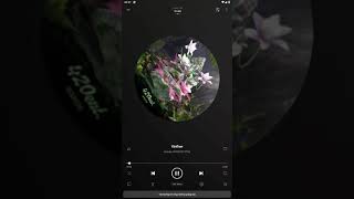 VINFLOW - Wxrdie, WOKEUP, 2pillz Lyrics Video Details