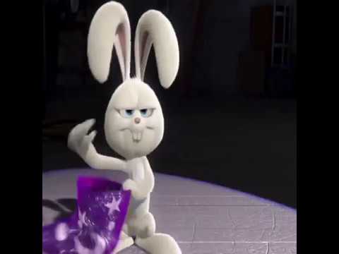 bunny-and-hat-funny-cartoon-short