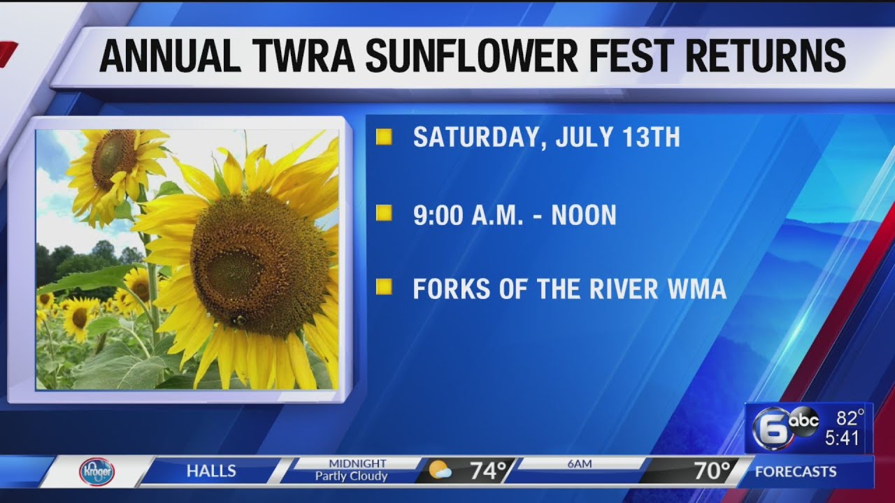 Annual TWRA Sunflower Festival returns YouTube