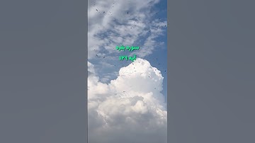 #سوره_بقره آیه ۱۲۹ 🌱گوینده: بهروز رضوی مترجم: مسعود ریاعی#دعای_قرآنی #پیامبر #آیه #قرآن #حکمت