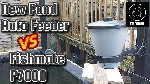 Koi Pond Auto Feeder Super Fish Vs Fishmate P7000 The Best Auto Feeder? #koipond #pondbuild #koi