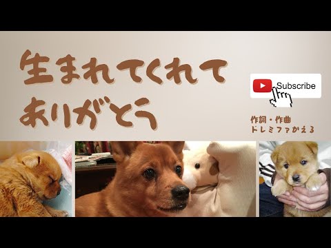 【合唱】生まれてくれてありがとう【オリジナル曲】作詞・作曲平井たえ