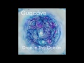 Guacyo  drop in the ocean audio