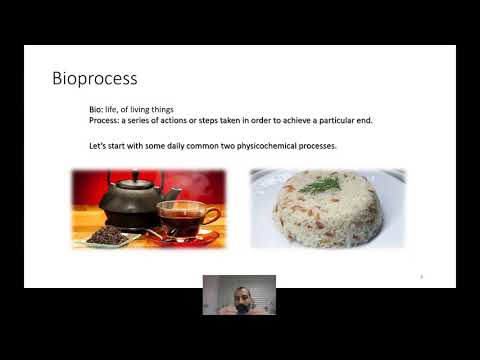 Bioprocesses From Value Added Products to Food Safety Methods and Medical Applications