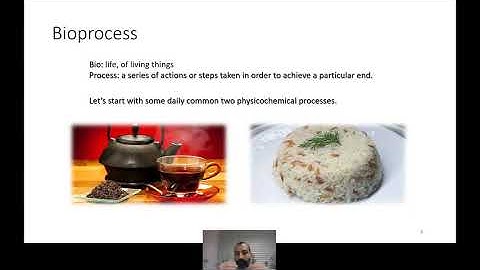 Bioprocesses From Value Added Products to Food Safety Methods and Medical Applications