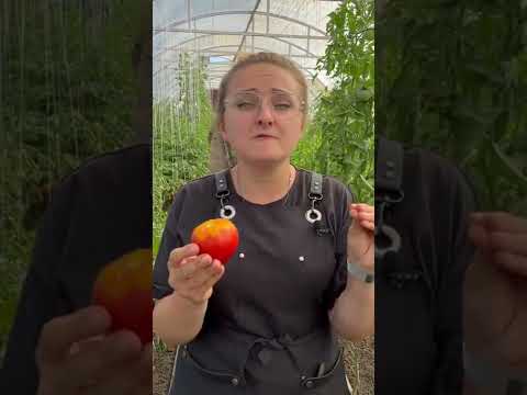 Видео: Съедобны ли листья томатов?