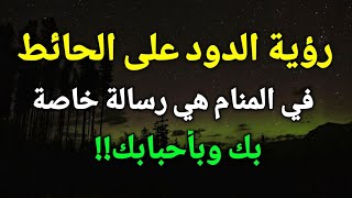 تفسير رؤية الدود علي الحائط في المنام هي رسالة خاصة بك وبأحبابك!!