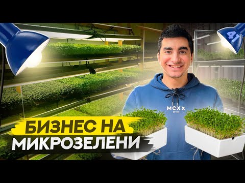 Видео: Бизнес с 5 тысяч рублей. Ситиферма у себя дома. Бизнес на микрозелени.