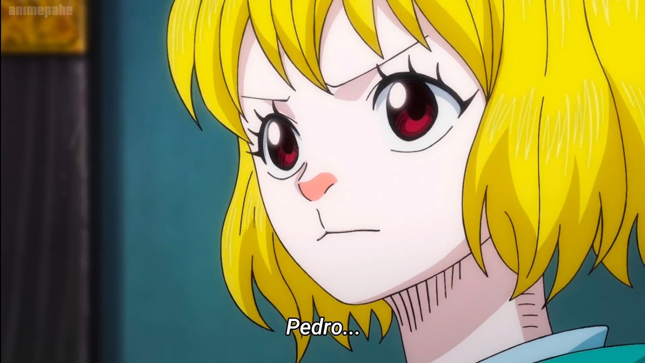 Carrot Becomes the Ruler of zou - One Piece Episode 1083 - YouTube
