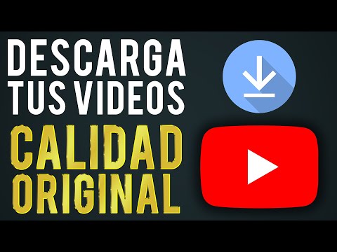 Video: Cómo descargar videos de YouTube en Chrome (con imágenes)