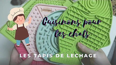 Comment Empecher Un Chat De Trop Se Lecher