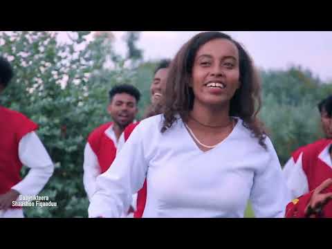 Shaashoo Fiqaaduu   Ayyaanni Gae   New Ethiopian Oromo Music 2023 Official Video