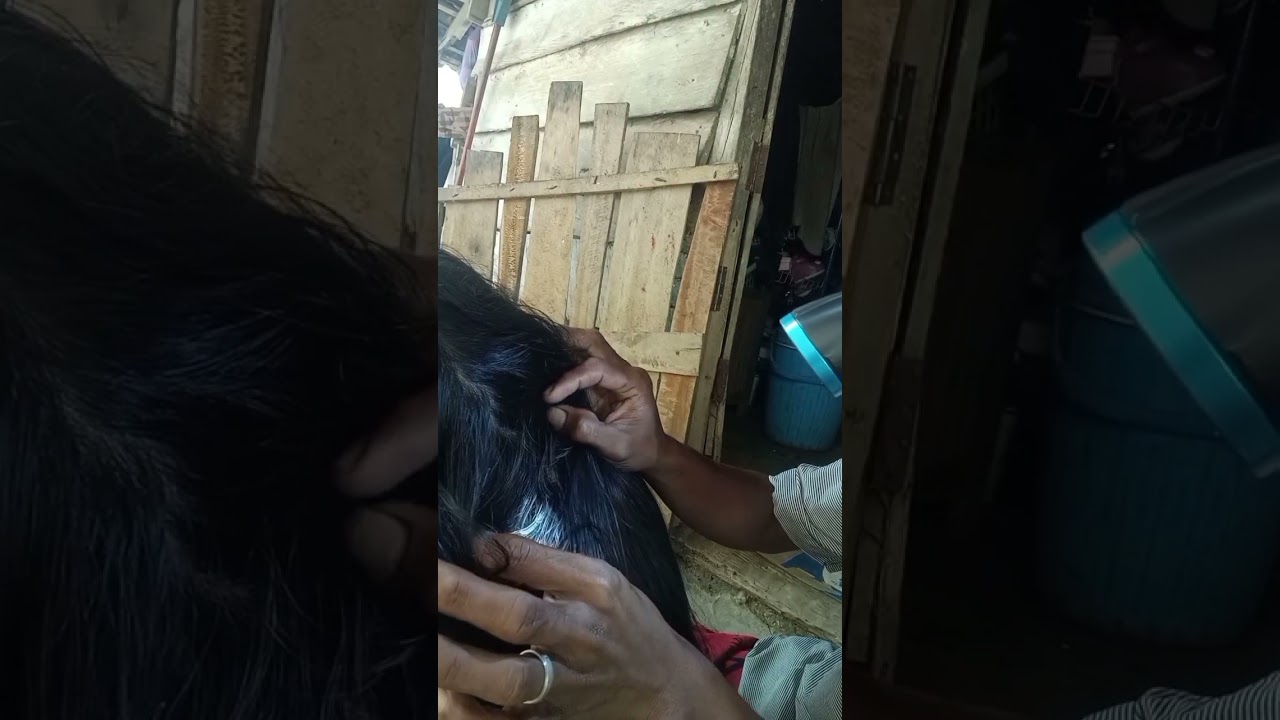 Nyari kutu