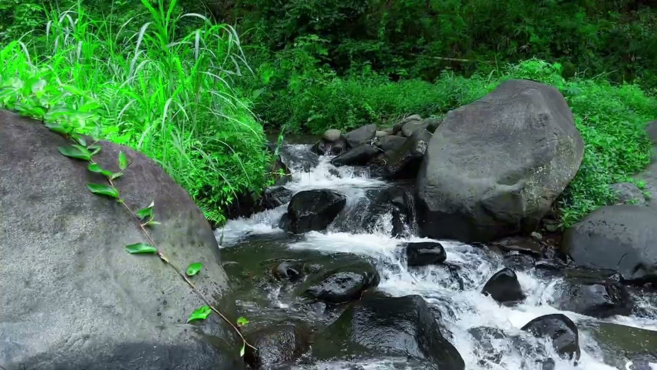 Mountain Stream Water Sounds | Relaxing Nature Ambience for Focus & Study