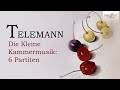 Telemann: Die Kleine Kammermusik, 6 Partiten