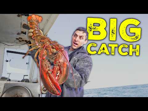 How I catch