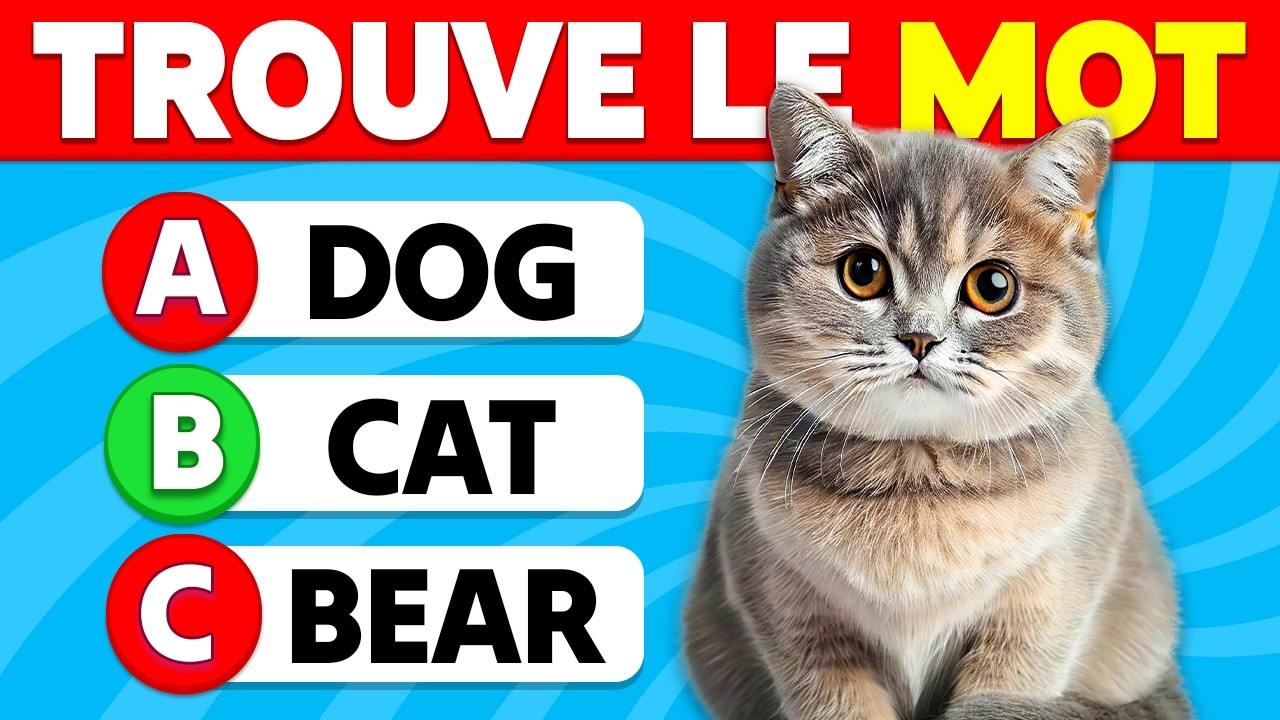 Devine 100 MOTS en ANGLAIS 🧠📚🎓 | Quiz pour Apprendre l'Anglais ✅🤓