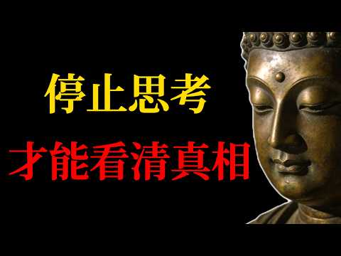停止思考，才能看清真相？禪宗揭示的驚人智慧，改變你對修行的理解！#佛學智慧#禪宗智慧#般若智慧#六祖慧能#停止思考#修行#開悟#佛法#禪宗故事#見性成佛#心經#平常心是道#頓悟#禪修#正念