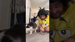 Little Cousin Watches A Cat