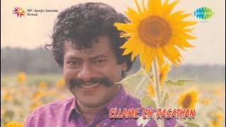 Ellame En Rasathan | Veenaikku Veenai song
