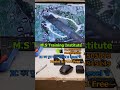 Battery Connection Error Kaise Thik KareCALL NOW 9129919149 / 9125505093 /8787242937FOR MORE DETAILS