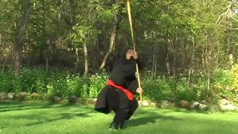 Pan Jia Kung Fu 潘家神拳 - Long Staff Footage