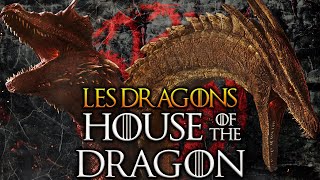 Tous les DRAGONS de HOUSE OF THE DRAGON [NO SPOIL]