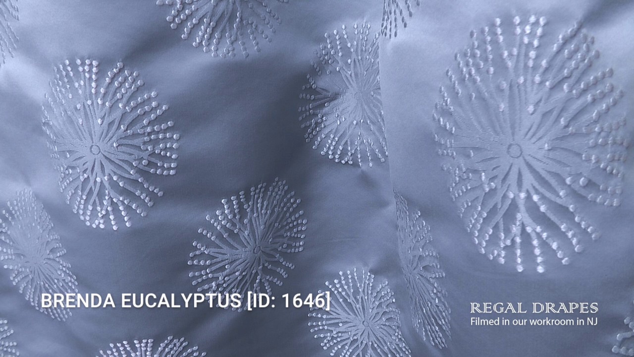 BRENDA EUCALYPTUS [ID: 1646]