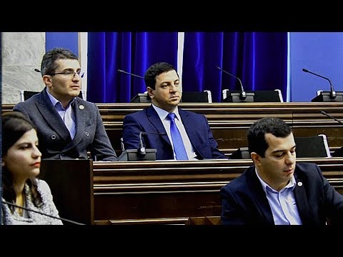 კონსულტაციები პარლამენტში