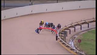 GEL FRI 08 MAR 19 R11