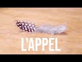 Gauthier aub  lappel clip officiel