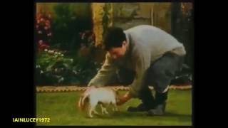 HAMLET CIGARS TV ADVERT  1986  puppy with toilet paper  THAMES TELEVISION HD 1080P