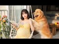 金毛超黏孕婦!從起床到睡覺,每個瞬間都要貼緊「孕肚」#萌宠出道计划 #funny #饲养员日常 #cute #黃狗 #宠物 #baby #animals #dog