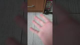 13 мая 2026 г.