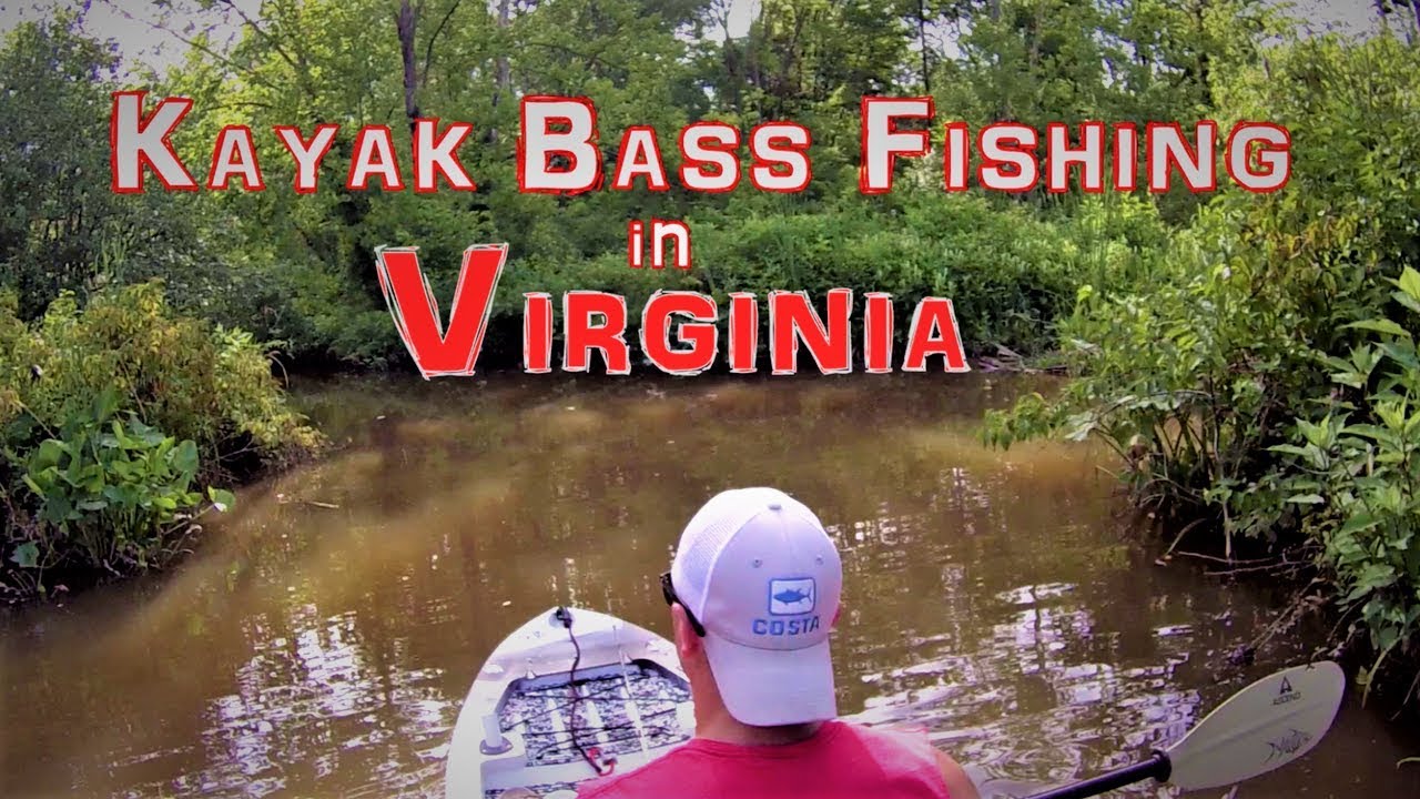 Kayak Bass Fishing in Virginia, Awesome trip! YouTube