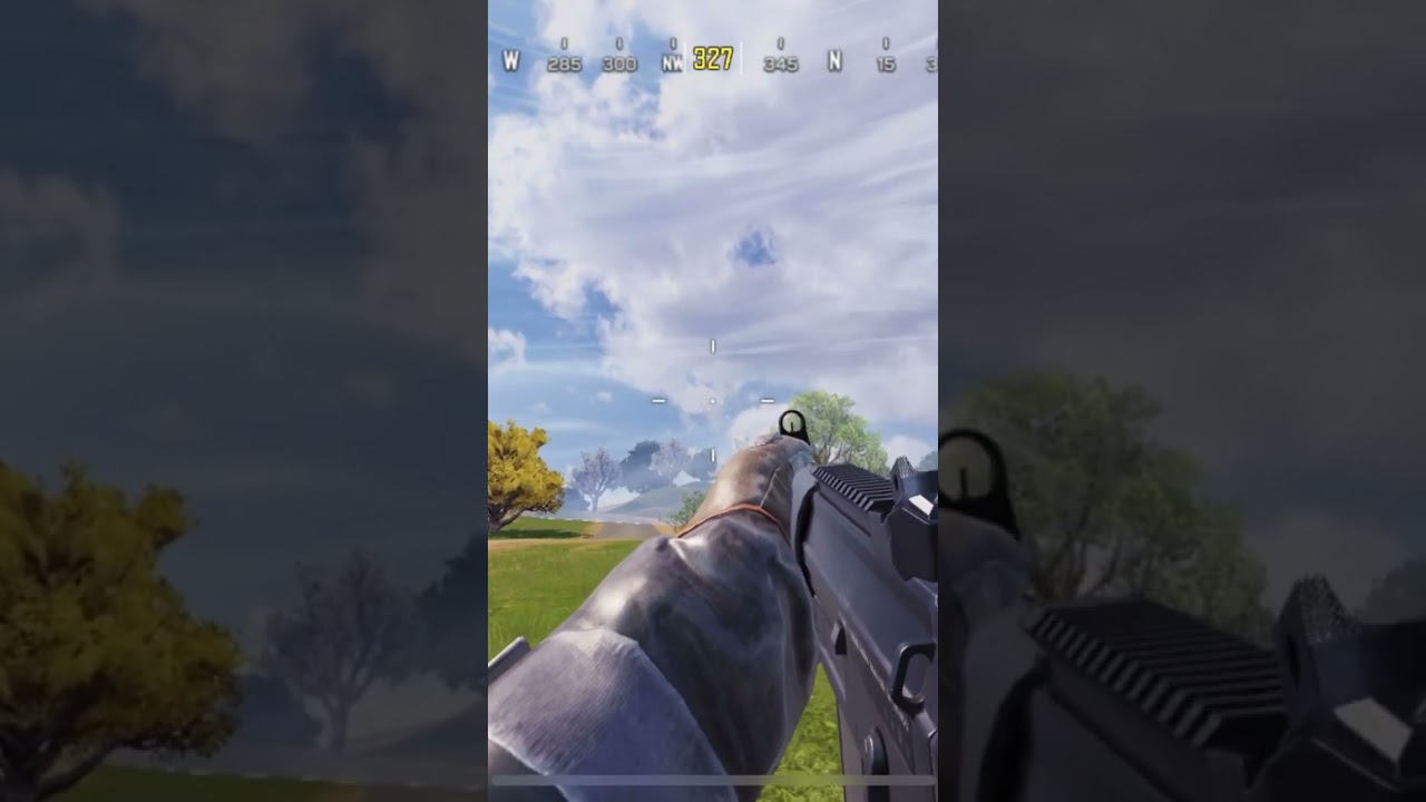 Grau 5.56 inspection and reload 