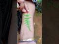 ഇങ്ങനെ ചെയ്തിട്ടുണ്ടോ. #shorts #new #song #shortvideo #trending #tattoo #shortsfeed #nature #tricks