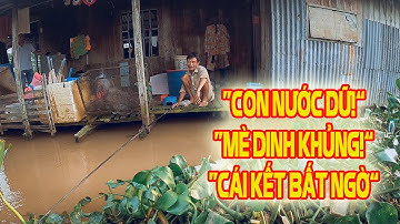 Câu Cá Ở Bè Gặp Con Nước Dữ | Ông Lão Quyết Chinh Phục Cá Mè Dinh Nhưng Cái Kết…