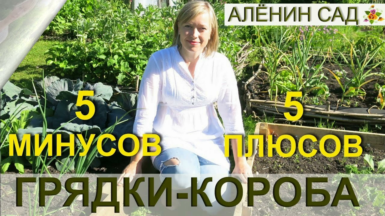 Аленин Сад Новые Видео 2022 Года Аленин Сад Новые Видео 2022 Года