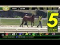 Tampa Bay Downs Live Stream