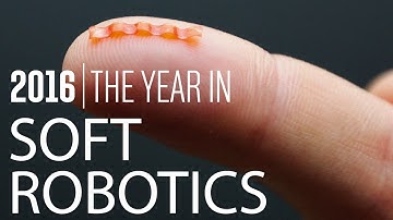 2016: The Year In Soft Robotics