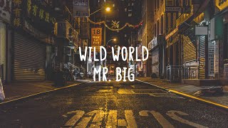 Mr. Big - Wild World (Lyrics)