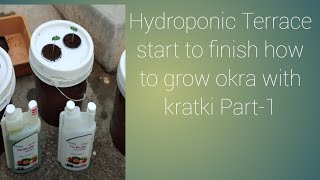 Complete Kratky Hydroponic Terrace Start To Finish How To Grow Okra With Kratki Part-1