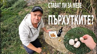 видео: СТАВАТ ЛИ ЗА МЕЗЕ ПЪРХУТКИТЕ? Are puffball mushrooms good as an appetizer? #mushroom #forageharvest картинка: СТАВАТ ЛИ ЗА МЕЗЕ ПЪРХУТКИТЕ? Are puffball mushrooms good as an appetizer? #mushroom #forageharvest