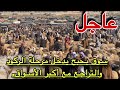 سوق حاسي بحبح في حصار مع تراجع الأسعار شاهد التفاصيل من ولاية الجلفة 