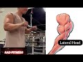 3 Best Tricep Long Head Medial and Lateral Head Tricep Workout   Tricep Exercises