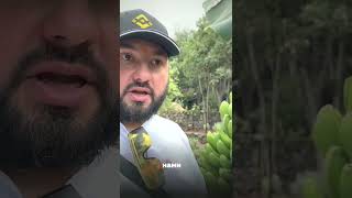 Как открыть крипто обменник в Испании #crypto #cryptocurrency #binance #испания #бизнес