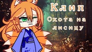 картинка: 🦊◇клип◇🦊◇охота на лисицу◇🦊