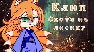 🦊◇клип◇🦊◇охота на лисицу◇🦊